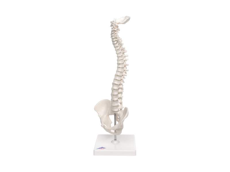 item_1864